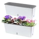 thumbnail image 5 of Macetas Autorriego con Práctico Indicador de de Agua. Maceta de Doble Capa Ideal para Regalar A Amigos y Familiares., 5 of 5