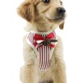 thumbnail image 2 of Harnais Gilet pour Chiot en Maille Douce Chat Animal Harnais de Course Gilet pour Chien Harnais pour Chien Gilet Ajustable Confortable (Rouge,m), 2 of 7