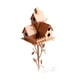 thumbnail image 5 of Estacas de jardín, estacas de jardín para pajareras, estacas abstractas para casa de pájaros, casa de pájaros de metal, resultados impresionantes, 5 of 8