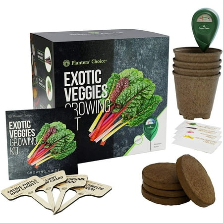 Exotic Veggies Growing Kit - Everything Included to Easily Grow 4 Unique Vegetables from Seed - Carrots, Chard, Radish, Zucchini + Moisture Meter Veggie