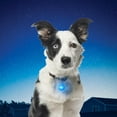 thumbnail image 4 of La Lampe pour collier SpotLitMC - Bleu, 4 of 8