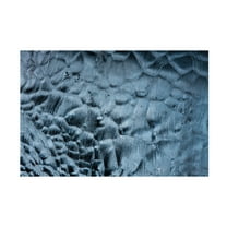Trademark Fine Art Luigi Ruoppolo Ice Textures Canvas Wall Art