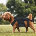 thumbnail image 5 of Dog Back Vest Aid Healing and Promote Comfort Adjustable Straps Supporting Vest Flexible and Lightweight, 5 of 9