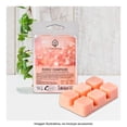 thumbnail image 3 of Cubos de Cera Hometrends Bubbly Champagne Aroma 70 G, 3 of 4