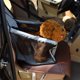 thumbnail image 3 of Nuevo plegable Pet Cat Cat Seat Seat Safe Carrier Kennel Puppy bolso azul Abanopi Cojín del animal doméstico del coche, 3 of 6