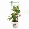 PersonalhomeD 45cm 60cm Flower Plants Clematis Climbing Rack Support Shelf House Garden Supplies