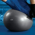thumbnail image 3 of SPRI Weighted Stability Exercise Ball, 65CM, Grey, 3 of 5