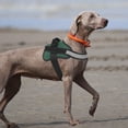 thumbnail image 4 of Chaleco reflectante antitirantes Dog Harness Bolux para perros medianos, 4 of 5
