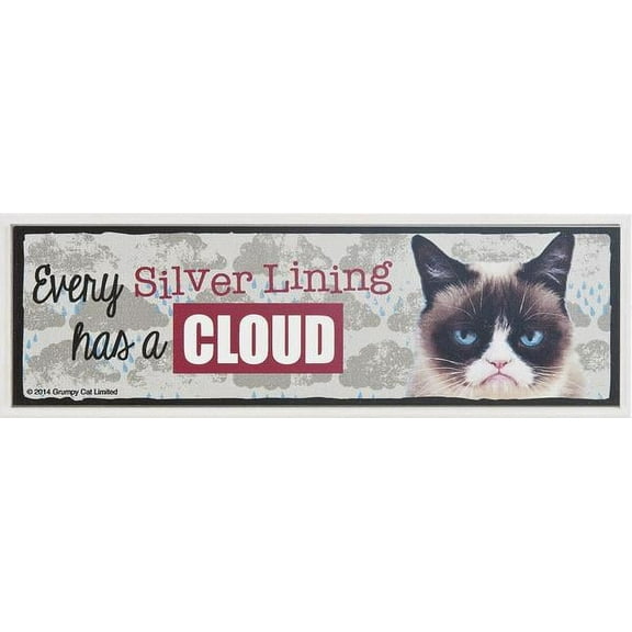 Every Silver Lining Has a Cloud - Grumpy Cat Desk Sign by Ganz