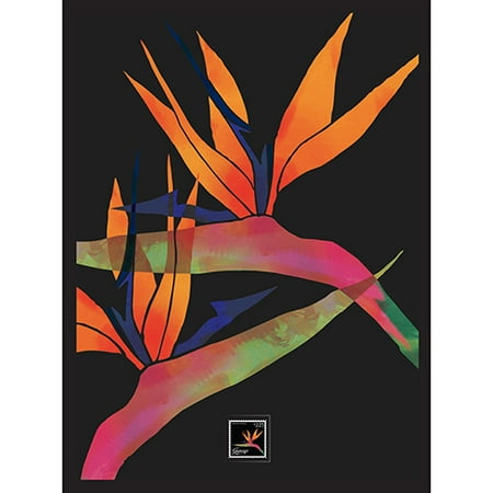 Imperial Mint Heliconia Flower Framed Artwork w/ Postage Stamp