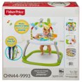 thumbnail image 3 of Fisher-Price Rainforest Friends SpaceSaver Jumperoo, 3 of 9