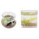 thumbnail image 1 of 1:12 Fish Bowl, 2pcs Dollhouse Fish Bowl Para Accesorios de Casa de Muñecas, 1 of 7
