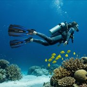 Mares Excite Open Heel Fins