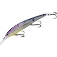 thumbnail image 1 of BAND-IT BDTWBS1B24 Walleye Shallow Rave, 1 of 3
