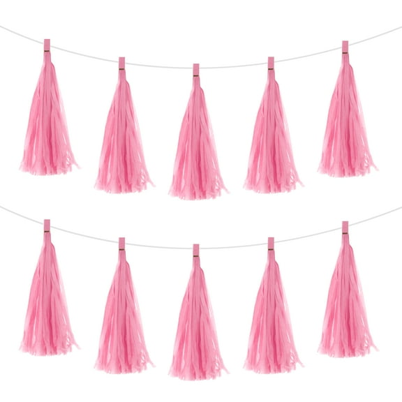 30Pcs Pink Tassel Garland Banner w Rope for Wedding Birthday Party Decoration