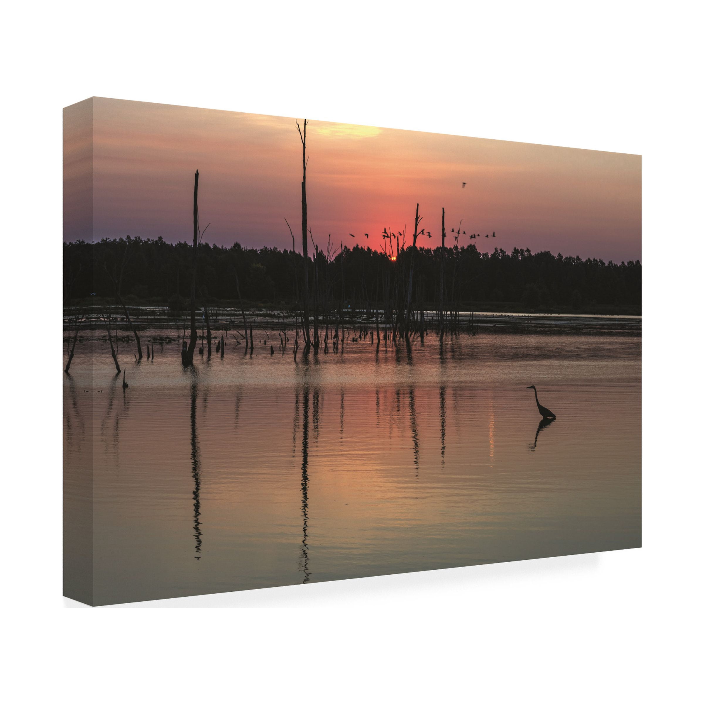 Kurt Shaffer Photographs 'Early Quiet Morning At An Ohio Wetland' Canvas Art