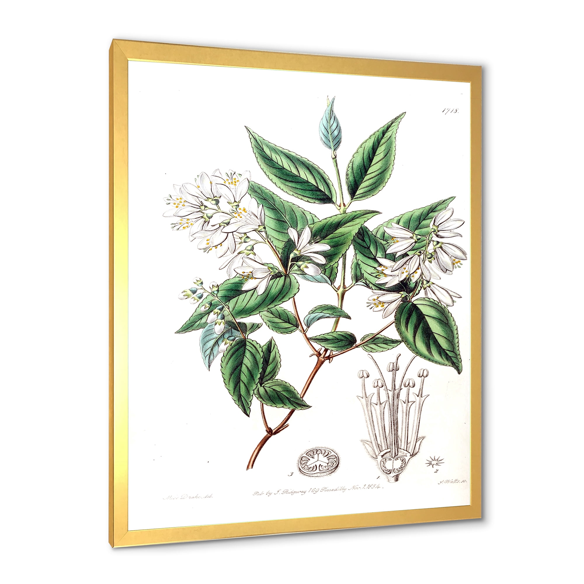 Designart 'Ancient Botanicals X' Traditional Framed Art Print