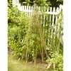 Gardenpath Willow Teepee Flower Support