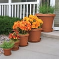 thumbnail image 3 of Bloem Terra Pot Planter 16 in. Terra Cotta, 3 of 9