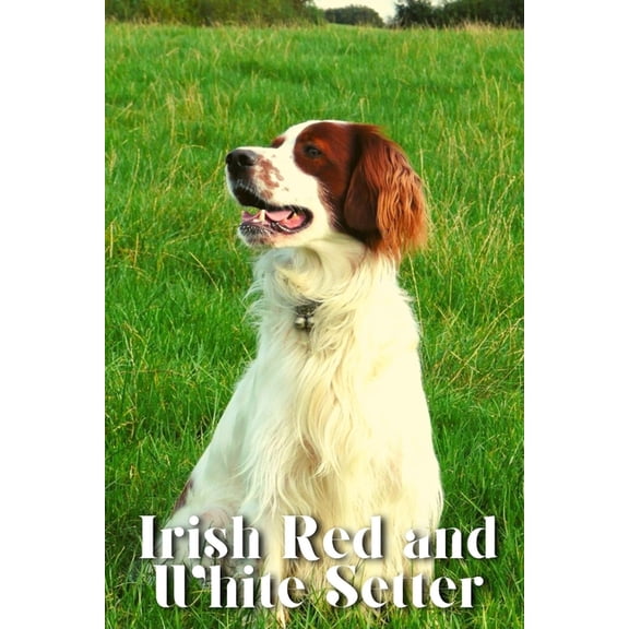Irish Red and White Setter: Dog breed overview and guide (Paperback)