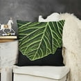 thumbnail image 2 of YINGXI  Leaves Throw Pillow Cover Palm Tropical Botanical Foliage Forest Hawaii Wild Green Home Decor Pillowcase Cushion Cover  20x20in, 2 of 5