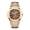 Rose Gold, variant on Specht & Söhne New Arrivals Fashion Automatic Mechanical Watches For Men Luminous Dial 42MM Steel Waterproof Classic 5711 Watch