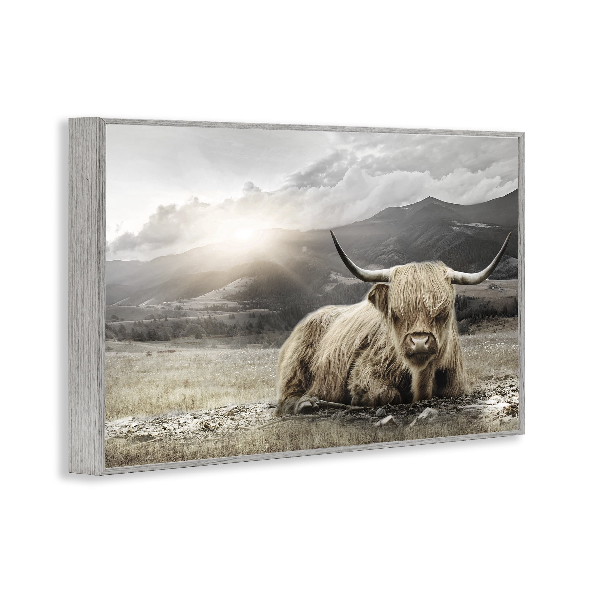 Stupell Industries Cattle Resting in Morning Sun Gray Framed Giclee Art, design by CAD Designs