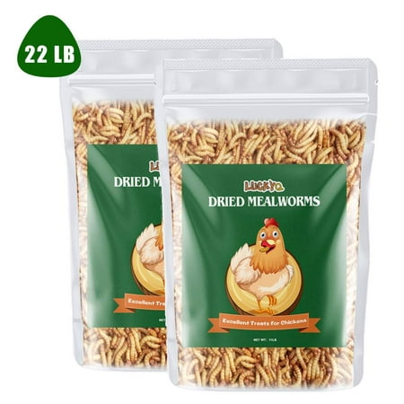 LUCKYQ Dried Mealworms 22LB,High-Protein Bulk Mealworms for Birds, Chickens, Turtles, Fish, Hamsters, and Hedgehogs, Non-GMO and Chemical Free, All Natural Animal