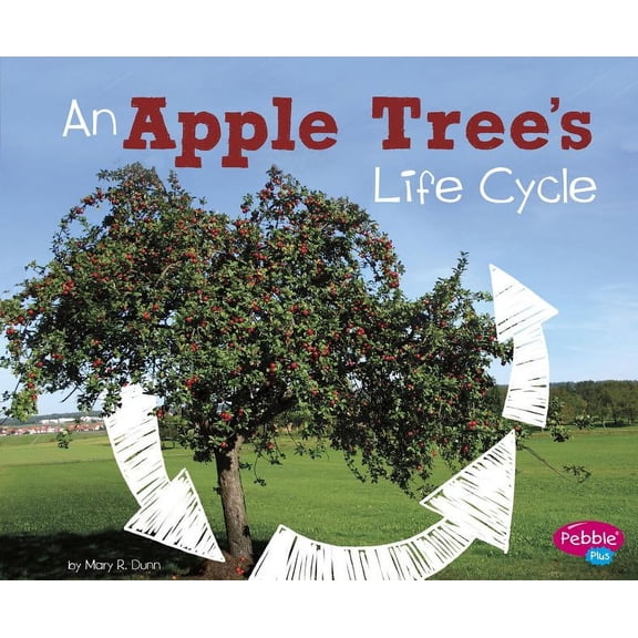 Explore Life Cycles An Apple Tree's Life Cycle, (Paperback)