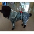 thumbnail image 2 of Lishi Waterproof Dog Hooded Poncho, 2 of 5