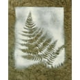 thumbnail image 2 of Stramel, Renee W. 20x24 Gold Ornate Wood Framed with Double Matting Museum Art Print Titled - Shadows and Ferns II, 2 of 4
