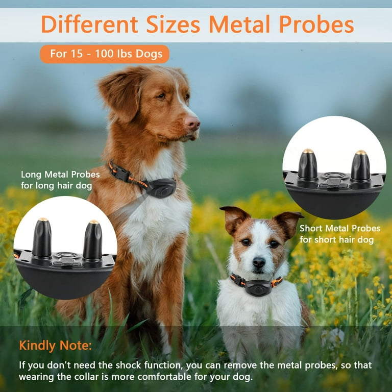 Do Shock Collars Cause Cancer In Dogs