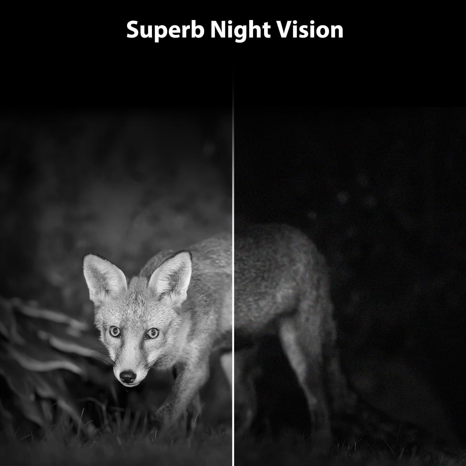 CAMPARK WiFi Trail Camera Solar Powered Native 4K 30fps 46MP Bluetooth Game Camera with Loop Recording 0.1s Motion Activated Night Vision Waterproof Hunting Trail Cam for Wildlife Monitoring