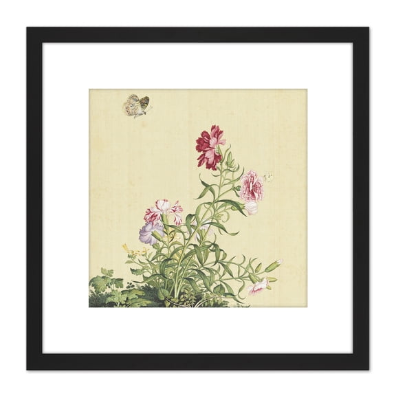 Castiglione Papaver Flower Moth Painting 8X8 Inch Square Wooden Framed Wall Art Print Picture with Mount