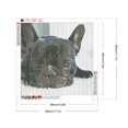 thumbnail image 2 of Cuadros Decorativos Pintura de diamante 5D DIY completo redondo taladro perro Kit decoración del hogar arte artesanal DQrwqpou embutido en tela, 2 of 7