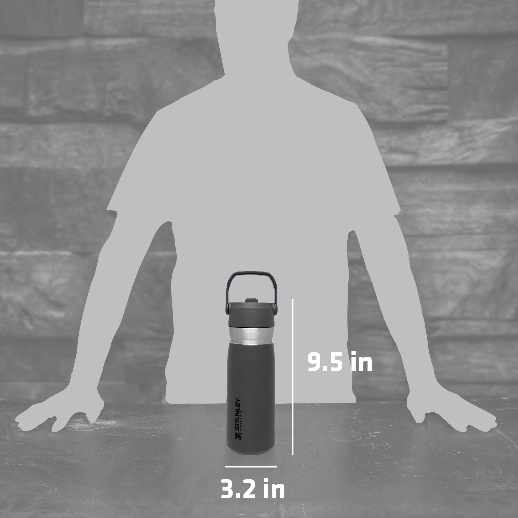 Stanley Insulated IceFlow Flip Straw Water Bottle 22oz - Matte Black