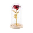 thumbnail image 2 of Muyoka Austok Rose Gift, Beauty and The Beast Rose, Kit de rosas, Rose de seda roja y luz LED con pétalos caídos en cúpula de vidrio sobre base de madera Día de San Valentín Aniversario Cumpleaños Muyoka Hogar, 2 of 5