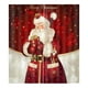 thumbnail image 1 of 2 de Estilo Navideño para Puerta, Ventana, Cortina de Baño, con Ganchos Y Anillos de Instalación, Cortinas de Oscurecimiento con a Papá Noel - 170x200cm Baoblaze Cortina de ventana de Navidad, 1 of 3