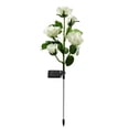 thumbnail image 1 of ECKYADAM 5 Lanternes Roses, Articles en Solde pour la Journée, 1 of 2
