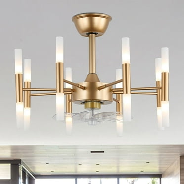 Oaks Aura 23" Ceiling Fan with Lights Remote 6-Speed Light Fixture