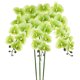 thumbnail image 1 of Uxcell 3-Pack Flores de Orquídea Artificial 9 Pétalos Grandes 37 Pulgadas Ramo de Phalaenopsis de Seda Verde Oscuro Falsas Orquídeas para Hogar/Boda, 1 of 1