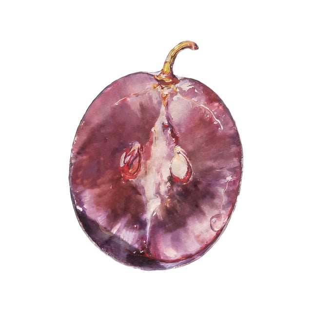 SIYTUAU Semi-Transparent Acrylic Fruit Shaped Bookmark For Readers Students And Stationery Craft Decoration 2X2 Inches