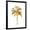 Black Frame, variant on Art.com Palm Gold II Art Print by Kristen Drew, 18" x 24"