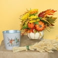 thumbnail image 3 of Holiday Designs - 6.5 Inch Pumpkin Planter Pots, Set of 12 Matte Ceramic Pumpkin Pottery for Fall Flowers, Succulents, Halloween & Thanksgiving Decor (Ivory, 6.5”D), 3 of 4
