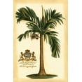 thumbnail image 2 of Vision Studio 23x32 White Modern Wood Framed Museum Art Print Titled - British Colonial Palm I, 2 of 4