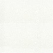 1004 100 Percent Polyvinyl Chloride Fabric, White