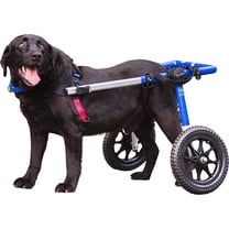 Walkin' Wheels Dog Wheelchair - Vet Approved - Large Dogs 70 -180 lbs