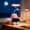 Pink_Hot#660, variant on Cute Rechargeable Desk Lamp with Phone Stand for Bedroom Reading Nightstand Decor