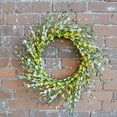 thumbnail image 3 of 22" Yellow and Cream Buttercup Wreath, 3 of 4