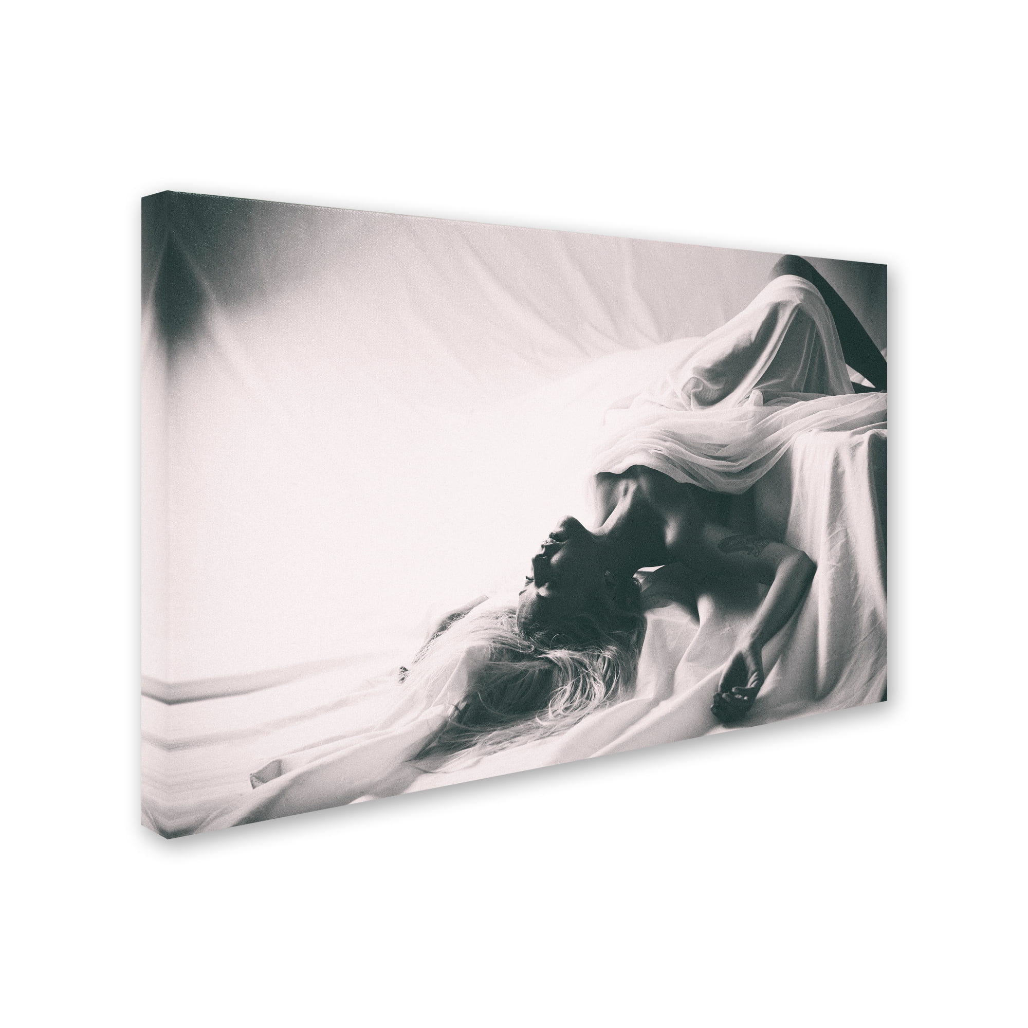 Trademark Fine Art 'Dreams' Canvas Art by Fady Abdallah